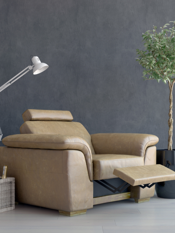 Recliner Chairs in Chhattisgarh: A Gateway to Comfort and Relief from Back Pain